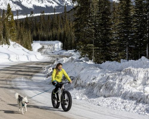 fat-biking-with-dog-facebook-post 2